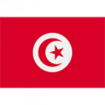 Тунисский французский